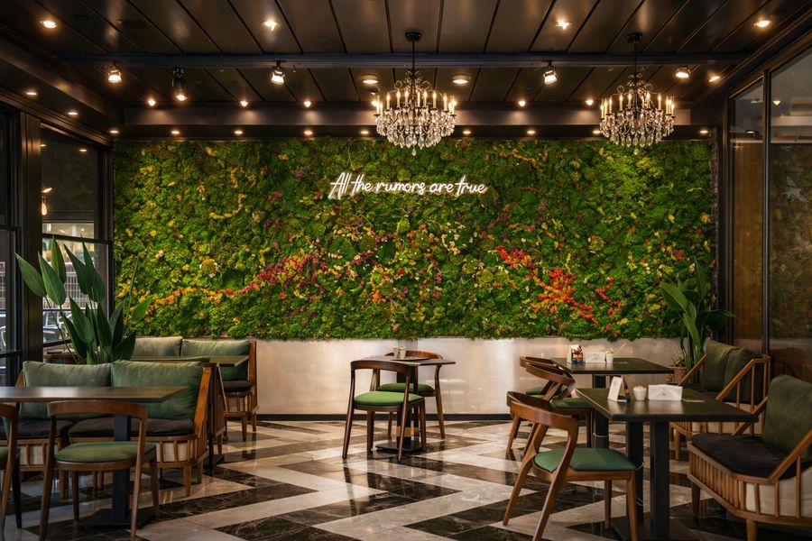 İç Mekanlar İçin Duvar Saksı Kullanım Fikirleri